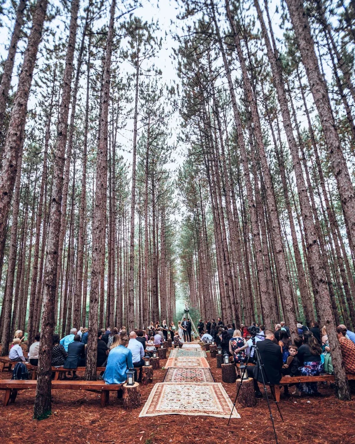 Pine forest wedding at Lembah Pinus Highland, Malang, photo 1